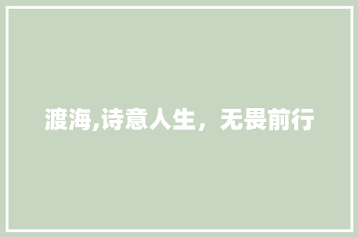 渡海,诗意人生，无畏前行
