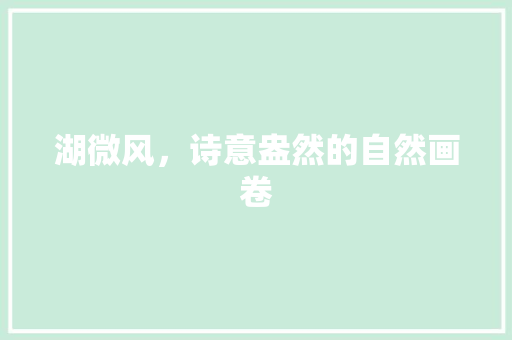 湖微风，诗意盎然的自然画卷