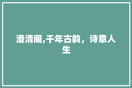 澄清阁,千年古韵，诗意人生 工作计划