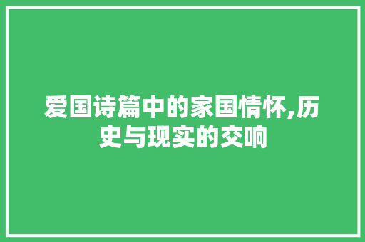 爱国诗篇中的家国情怀,历史与现实的交响 国学经典