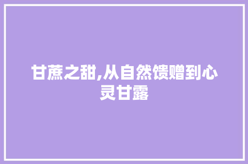 甘蔗之甜,从自然馈赠到心灵甘露