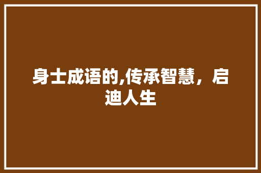 身士成语的,传承智慧，启迪人生