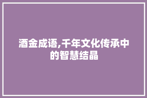 酒金成语,千年文化传承中的智慧结晶
