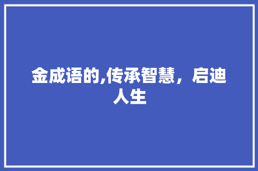 金成语的,传承智慧，启迪人生