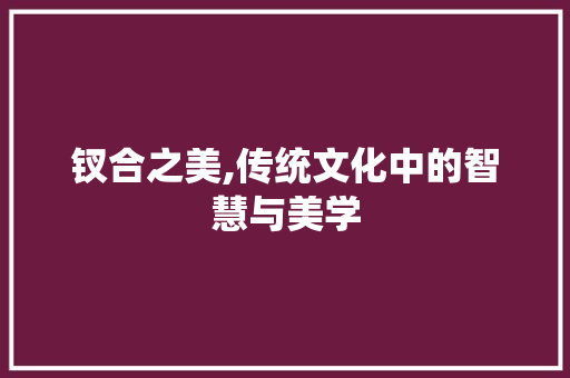 钗合之美,传统文化中的智慧与美学