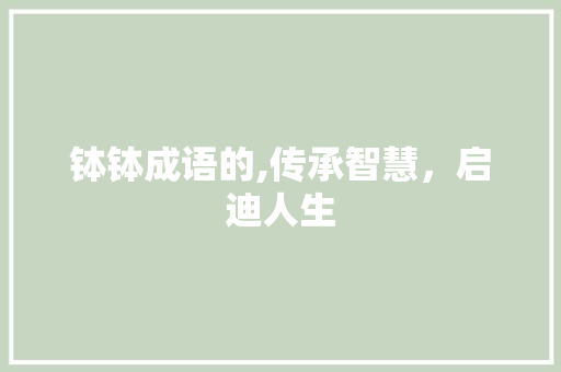 钵钵成语的,传承智慧，启迪人生 个人简历