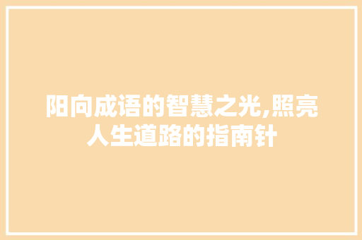 阳向成语的智慧之光,照亮人生道路的指南针
