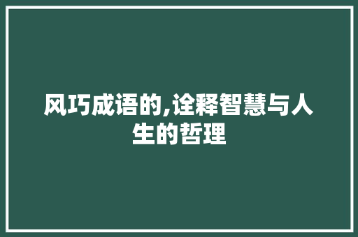 风巧成语的,诠释智慧与人生的哲理
