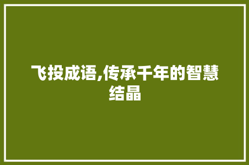 飞投成语,传承千年的智慧结晶