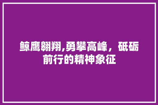 鲸鹰翱翔,勇攀高峰，砥砺前行的精神象征