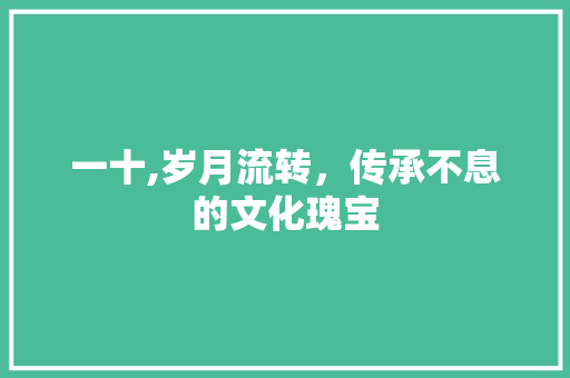 一十,岁月流转，传承不息的文化瑰宝
