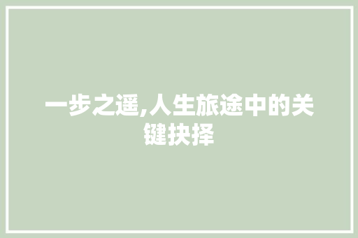 一步之遥,人生旅途中的关键抉择
