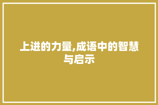 上进的力量,成语中的智慧与启示
