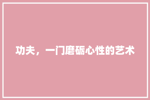 功夫，一门磨砺心性的艺术
