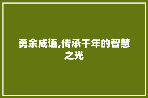 勇余成语,传承千年的智慧之光