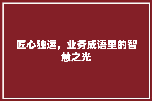 匠心独运，业务成语里的智慧之光