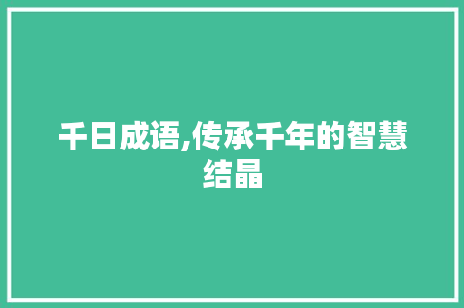 千日成语,传承千年的智慧结晶 工作总结