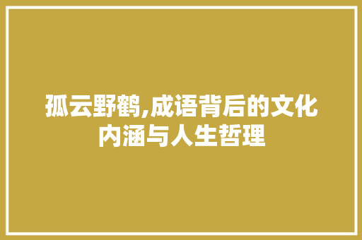 孤云野鹤,成语背后的文化内涵与人生哲理 工作总结