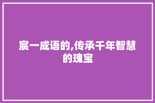 宸一成语的,传承千年智慧的瑰宝