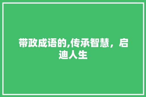 带政成语的,传承智慧，启迪人生