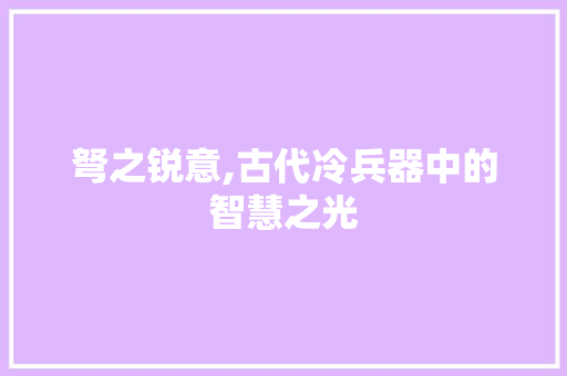 弩之锐意,古代冷兵器中的智慧之光 工作总结