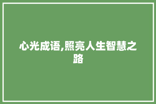 心光成语,照亮人生智慧之路