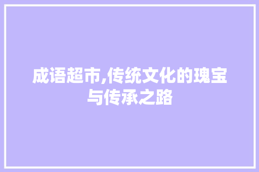 成语超市,传统文化的瑰宝与传承之路