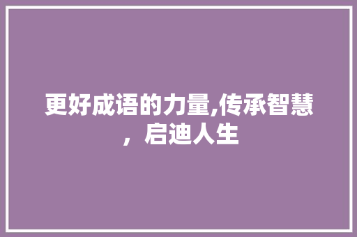 更好成语的力量,传承智慧，启迪人生