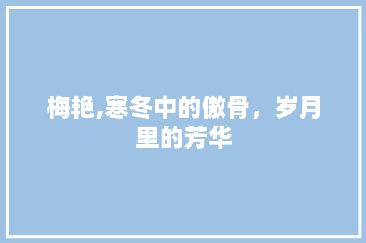 梅艳,寒冬中的傲骨，岁月里的芳华