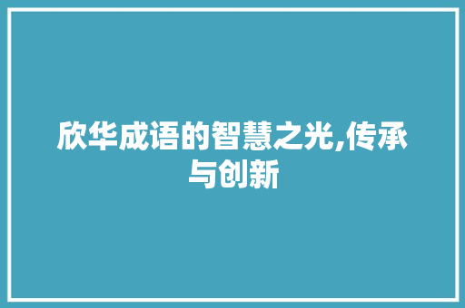 欣华成语的智慧之光,传承与创新 成语大全