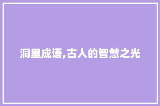 洞里成语,古人的智慧之光 个人简历