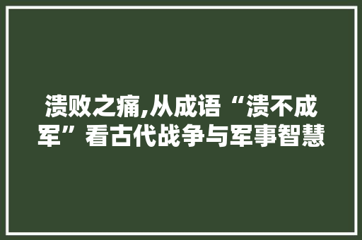 溃败之痛,从成语“溃不成军”看古代战争与军事智慧