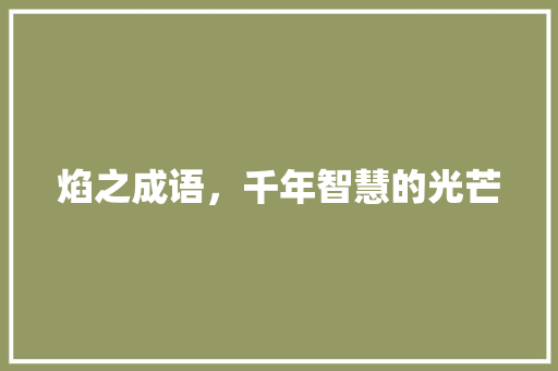 焰之成语，千年智慧的光芒 国学经典
