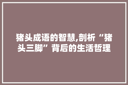 猪头成语的智慧,剖析“猪头三脚”背后的生活哲理