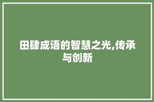 田肆成语的智慧之光,传承与创新