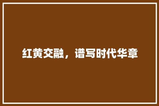 红黄交融，谱写时代华章
