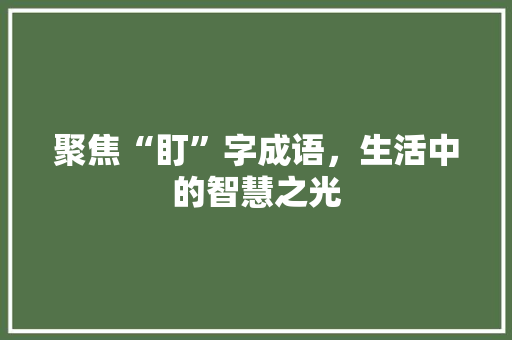 聚焦“盯”字成语，生活中的智慧之光