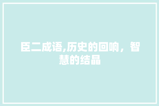 臣二成语,历史的回响，智慧的结晶