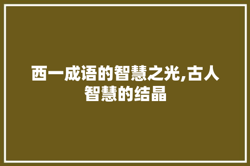 西一成语的智慧之光,古人智慧的结晶
