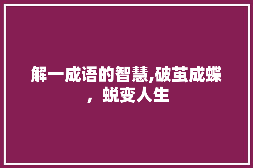 解一成语的智慧,破茧成蝶，蜕变人生