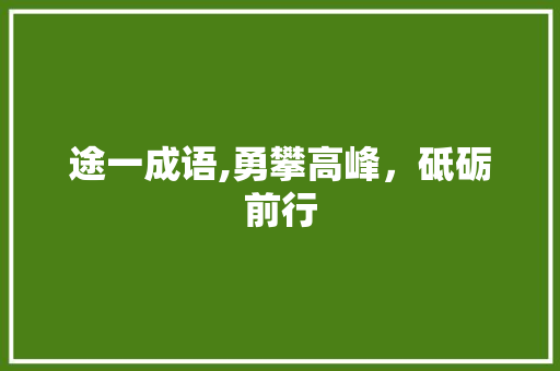 途一成语,勇攀高峰，砥砺前行