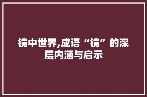 镜中世界,成语“镜”的深层内涵与启示