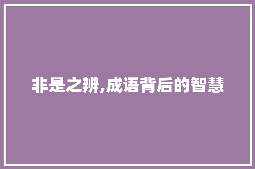 非是之辨,成语背后的智慧