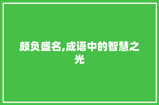 颇负盛名,成语中的智慧之光