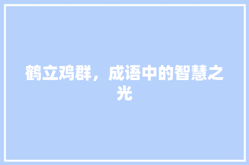 鹤立鸡群，成语中的智慧之光 工作计划