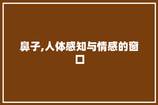 鼻子,人体感知与情感的窗口