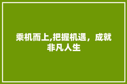 乘机而上,把握机遇，成就非凡人生