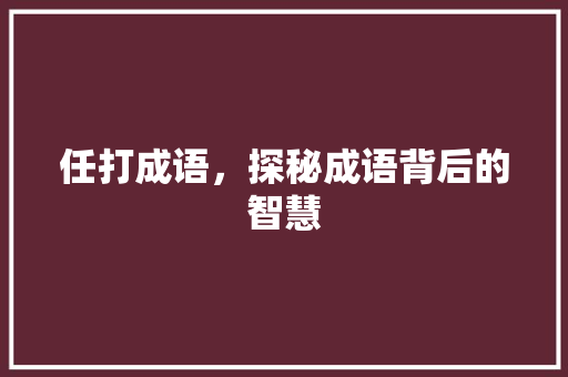 任打成语，探秘成语背后的智慧