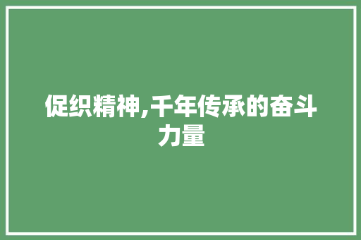 促织精神,千年传承的奋斗力量 合同范本