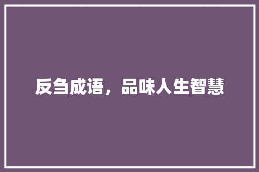反刍成语，品味人生智慧